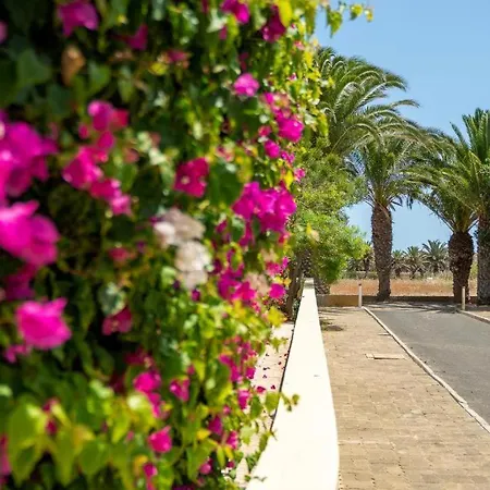 Oceano Azul Tatil Evi